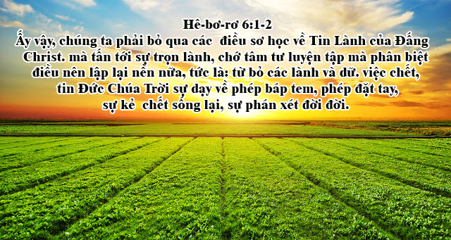 7b83b89f-7cfe-40e2-85a8-19bea388ec16.jpg