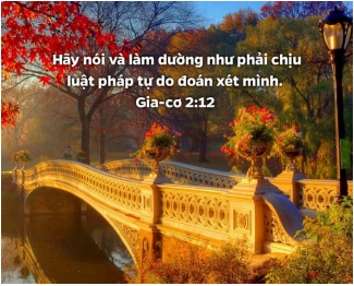 Chưa có tên.jpg