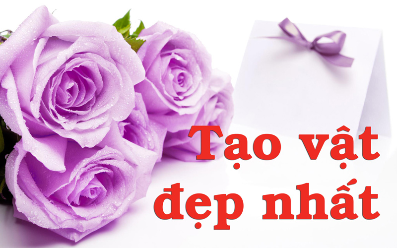 Taovat-depnhat-1