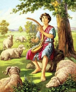 david-sheperd-boy