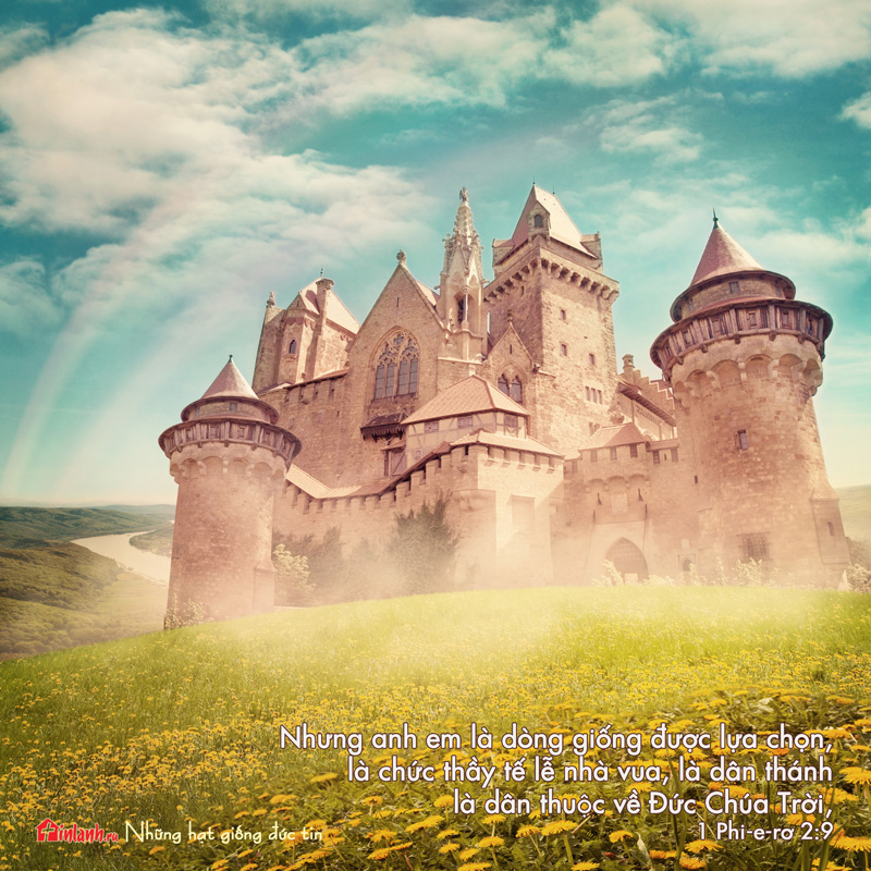 Dong-doi-duoc-lua-chon