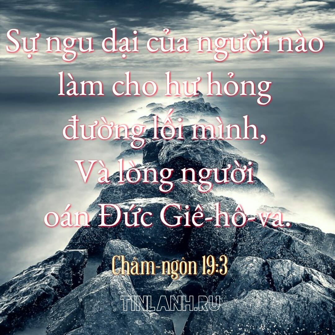 con duong ke ngu dai