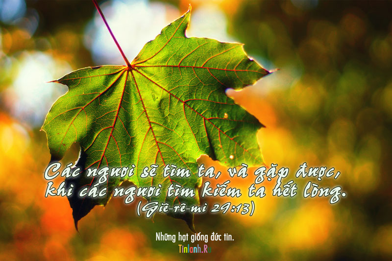 Cac-nguoi-se-tim-ta-va-gap-duoc