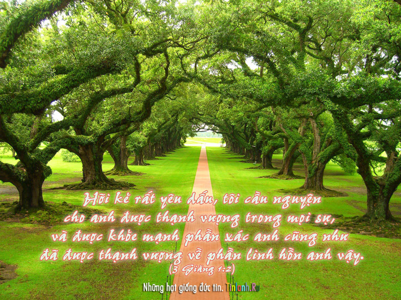 Khoe-manh-than-hon-linh