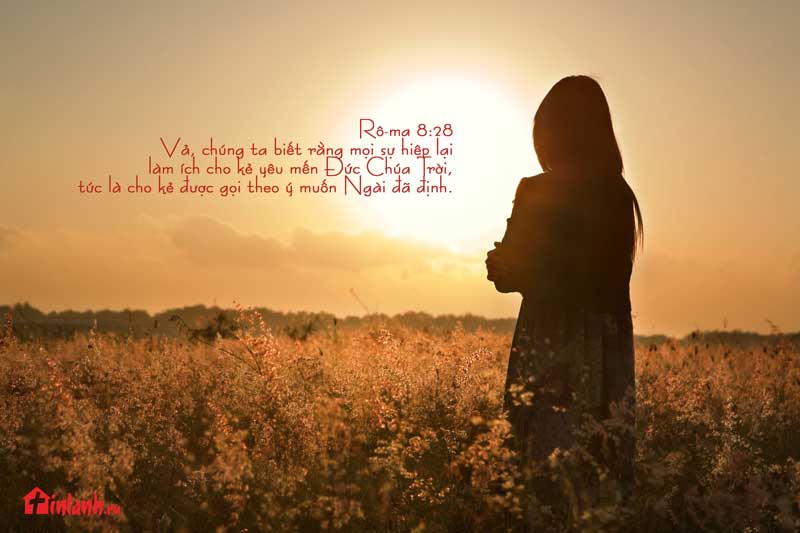 Moi-su-hiep-lai-lam-ich-cho-nguoi-yeu-Chua-800