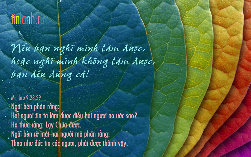 Theo-duc-tin-cac-nguoi-phai-duoc-thanh