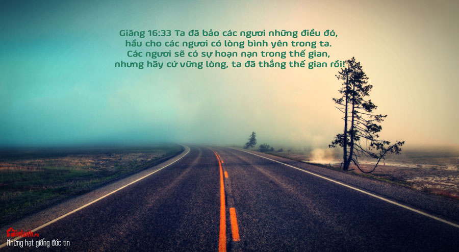 vui mung trong nghich canh