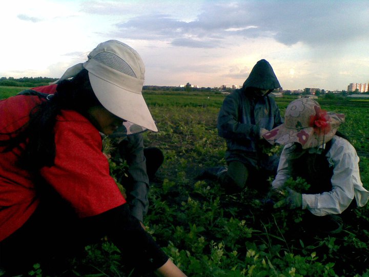 thuongcacchau_colamgiup