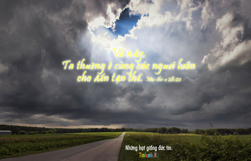 Ta-thuong-o-cung-cac-nguoi-luon