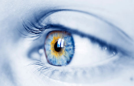eye
