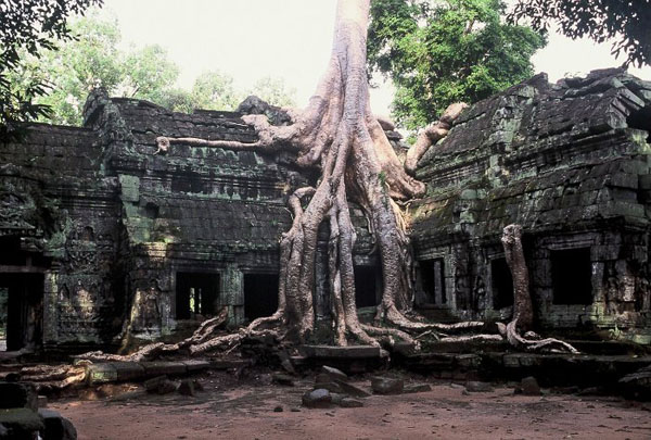 angkor_wat_005